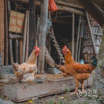 仙居杜若山居民宿酒店提供图片