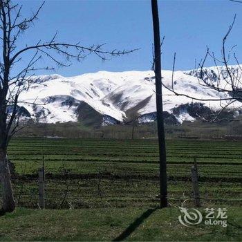 伊犁天马街十九巷客栈酒店提供图片