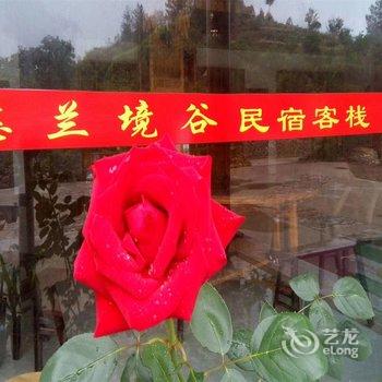 丽水悠兰境谷客栈酒店提供图片