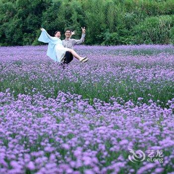 宜春明月花溪谷酒店酒店提供图片