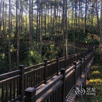 巴中天马山森林温泉度假酒店酒店提供图片