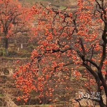 宝天曼山水客栈酒店提供图片