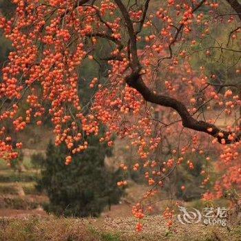 宝天曼山水客栈酒店提供图片