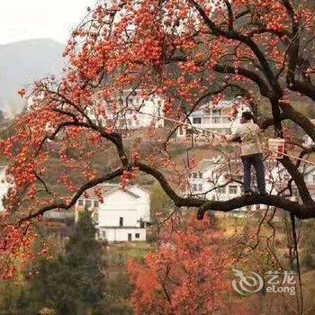 宝天曼山水客栈酒店提供图片