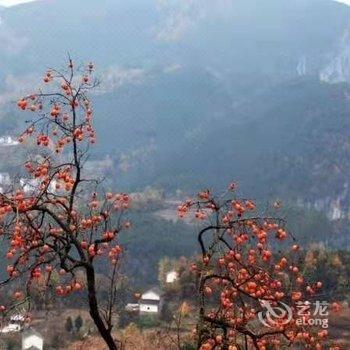 宝天曼山水客栈酒店提供图片