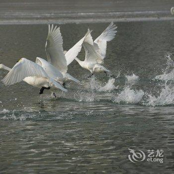 库尔勒德荣商务宾馆酒店提供图片