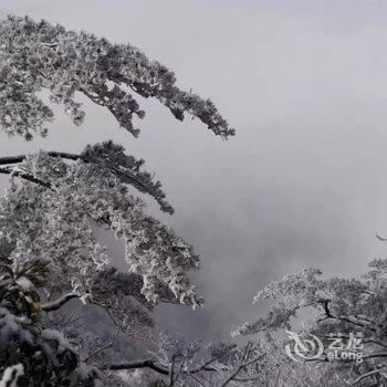 绩溪周世通客栈酒店提供图片