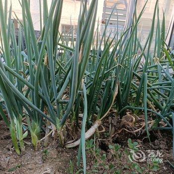 荣成杜小美特色民宿酒店提供图片