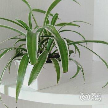 井冈山宁海军公寓酒店提供图片