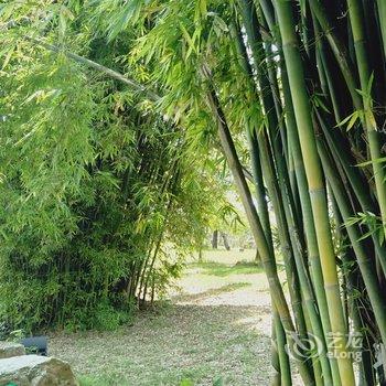 井冈山宁海军公寓酒店提供图片