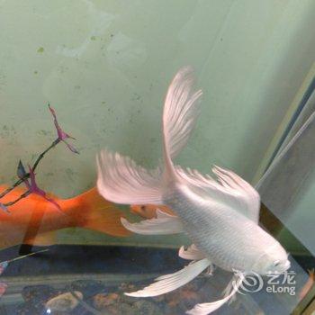 井冈山宁海军公寓酒店提供图片