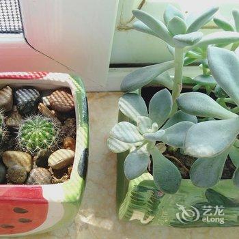 井冈山宁海军公寓酒店提供图片