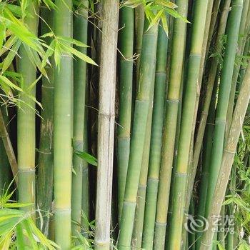 井冈山宁海军公寓酒店提供图片