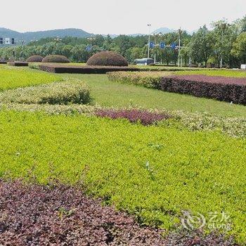 井冈山宁海军公寓酒店提供图片