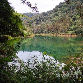 红河何波莲客栈酒店提供图片