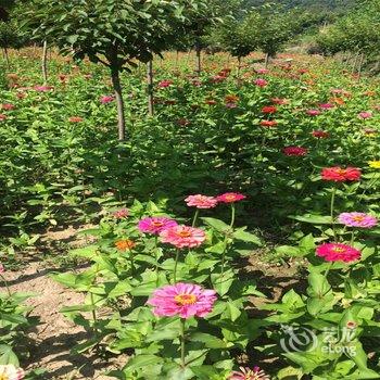 商洛彩虹湾旅居特色民宿酒店提供图片