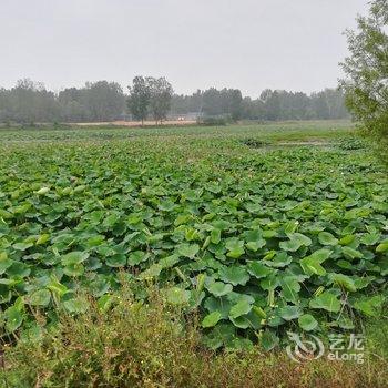 宝丰龙泉站长别墅酒店提供图片