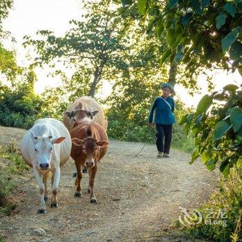 黔西南山中小客特色民宿酒店提供图片