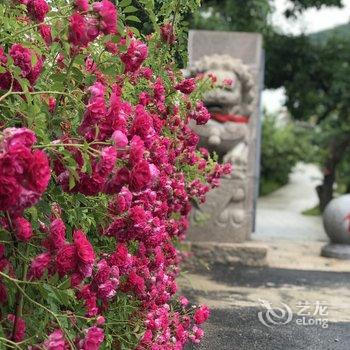 鞍山依云民宿酒店提供图片