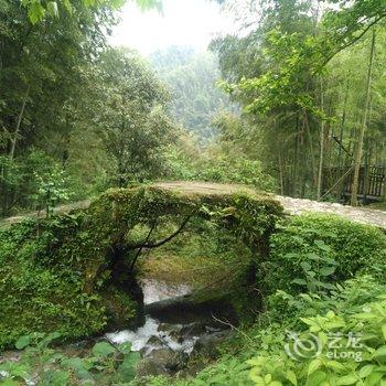 宜春肖松华公寓酒店提供图片