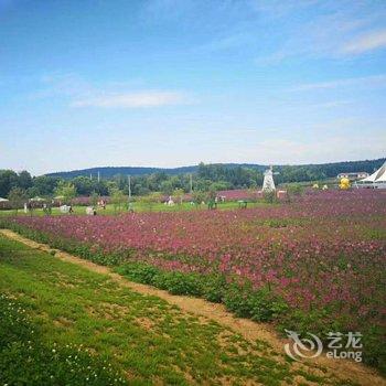 盘锦吴玉英民宿酒店提供图片