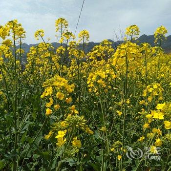 恩施鹤峰县兰先农家乐酒店提供图片