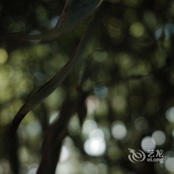 洛阳一亩田民舍客栈酒店提供图片