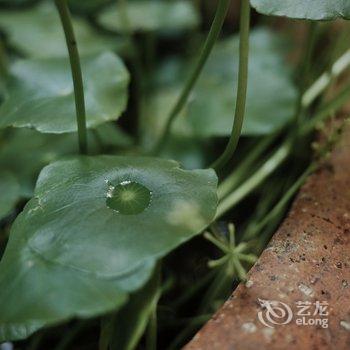 洛阳一亩田民舍客栈酒店提供图片