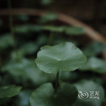 洛阳一亩田民舍客栈酒店提供图片