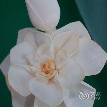 洛阳一亩田民舍客栈酒店提供图片