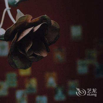 洛阳一亩田民舍客栈酒店提供图片