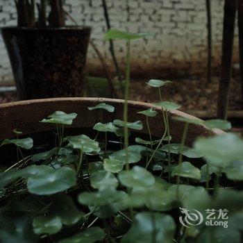 洛阳一亩田民舍客栈酒店提供图片