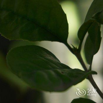 洛阳一亩田民舍客栈酒店提供图片