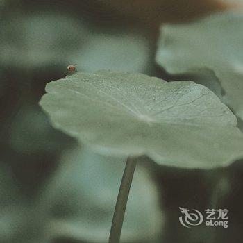 洛阳一亩田民舍客栈酒店提供图片