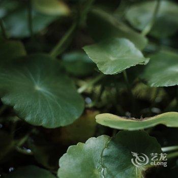 洛阳一亩田民舍客栈酒店提供图片