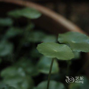 洛阳一亩田民舍客栈酒店提供图片