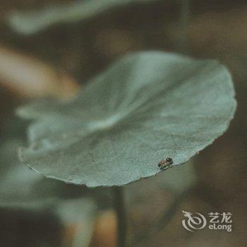 洛阳一亩田民舍客栈酒店提供图片