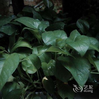 洛阳一亩田民舍客栈酒店提供图片