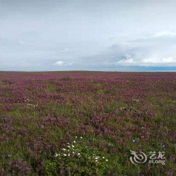 海南青海湖元者农家乐酒店提供图片