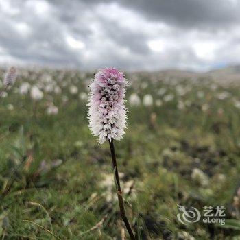 海南青海湖元者农家乐酒店提供图片