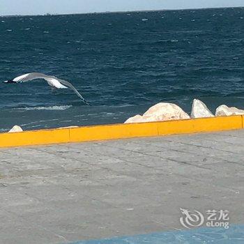 海南青海湖元者农家乐酒店提供图片