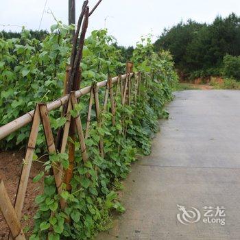 岳西兰溪雨山居别墅(3号店)酒店提供图片