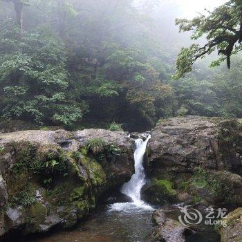 雅安龙苍沟翔贺客栈心牵儿(3号店)酒店提供图片