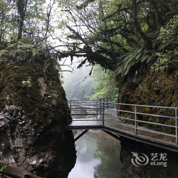 雅安龙苍沟翔贺客栈心牵儿(3号店)酒店提供图片