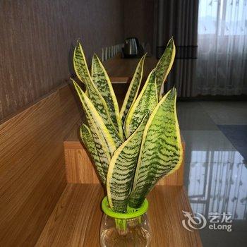 六盘水左小马公寓酒店提供图片