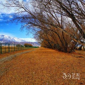 喀什绮辰民宿酒店提供图片