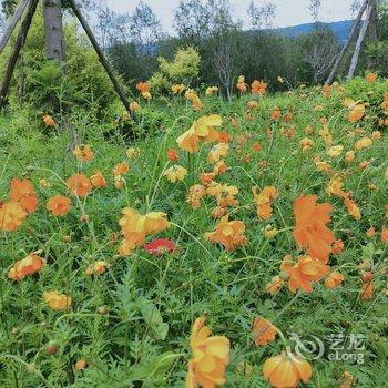 西昌颖媛客栈酒店提供图片