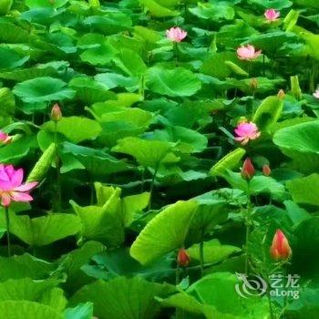 宽甸强行天下民宿酒店提供图片