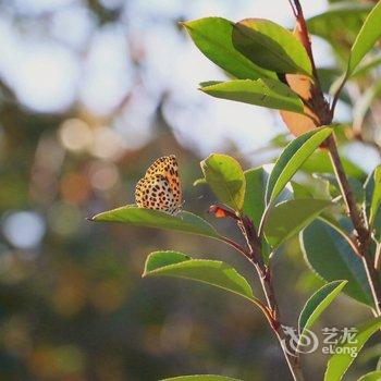 常州江海潮客栈酒店提供图片