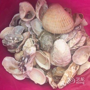 营口鲅鱼圈海边日租公寓海景房酒店提供图片